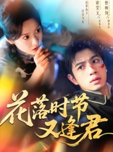 短剧《花落时节又逢君》61集短剧免费在线观全集