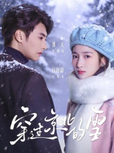 短剧《穿过京北的雪》80集短剧超清画质免费观看