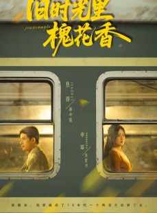 短剧《旧时光里槐花香》70集短剧全集资源免费观看
