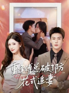 短剧《重逢傅总破了防，花式追妻》86集短剧高清全集网盘观看