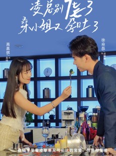 短剧《凌总别虐了桑小姐又吐了》102集短剧全集缓存随时随地看