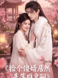短剧《捡个傻婿居然是落难皇嗣》35集短剧完整版免费畅享观看