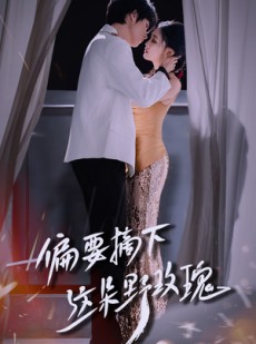 短剧《偏要摘下这朵野玫瑰》60集短剧1080P高清在线流畅观看