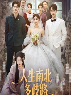 短剧《人生南北多歧路》45集短剧全集免费在线赏