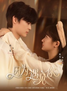 短剧《因为遇见你》79集短剧1080P在线观看全集
