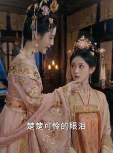 短剧《藏仇入宫从女官步步崛起》25集短剧超清画质在线追剧