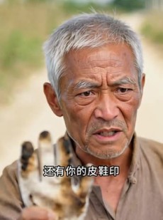 短剧《我家的地砖我不让》31集短剧在线解锁全集观看