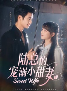 短剧《陆总的宠溺小甜妻》61集短剧在线高清全集免费追
