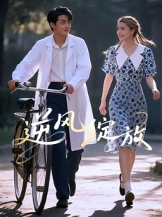 短剧《逆风绽放》55集短剧全集免费在线观看
