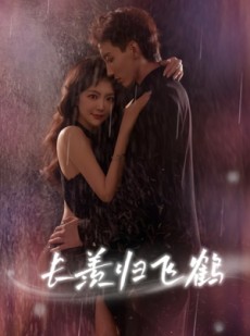 短剧《长羡归飞鹤》70集短剧超清画质全集免费看