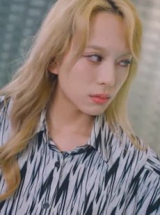 短剧《玫瑰故事之相亲大作战》79集短剧全集解锁一次看过瘾