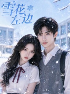 短剧《雪花左边》30集短剧高清全集在线免费赏