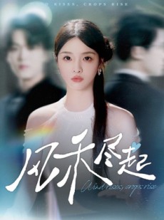 短剧《风禾尽起》44集短剧完整版网盘免费下载看