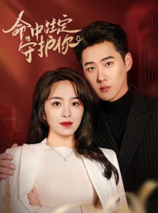 短剧《命中注定守护你》95集短剧全集在线一口气追完