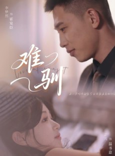 短剧《难驯》62集短剧全集资源一键解锁观看