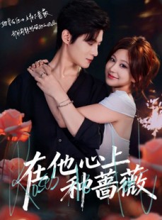 短剧《在他心上种蔷薇》81集短剧在线畅享全集剧