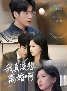 短剧《我真没想离婚啊》60集短剧蓝光画质无广告观看