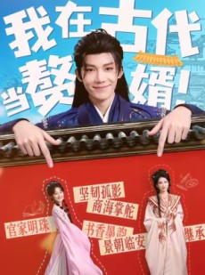 短剧《我在古代当赘婿》80集短剧免费观看完整不卡顿