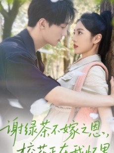 短剧《谢绿茶不嫁之恩校花正在我怀里》56集短剧高清无删减在线观看
