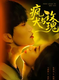 短剧《疯犬与玫瑰》80集短剧完整版免费畅享观看