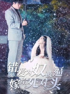 短剧《错爱为奴被逼嫁给死对头》90集短剧高清流畅在线观看