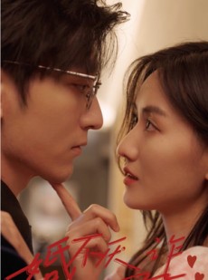 短剧《婚不厌诈》80集短剧全集无删减在线观看