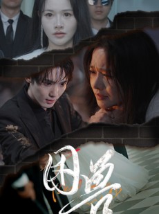 短剧《困兽》31集短剧手机平板随时随心观看