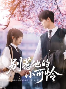 短剧《别惹他的小可怜》87集短剧无广告纯净版在线观看