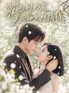 短剧《霍总别太爱，夫人她只想搞钱》66集短剧超清画质免费观看