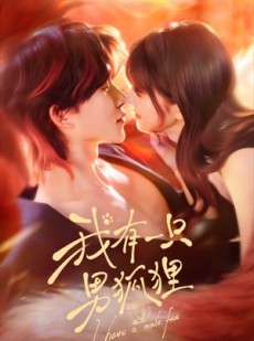 短剧《我有一只男狐狸》48集短剧免费看完整大结局