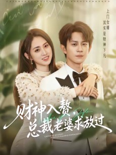 短剧《财神入赘，总裁老婆求放过》60集短剧超清画质在线追剧