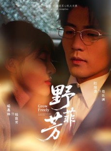 短剧《野芳菲》60集短剧1080P高清免费观看