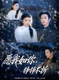 短剧《愿我如你，铮铮不折》63集短剧超清画质全集免费观