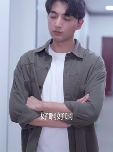 短剧《女总裁的上门女婿》104集短剧高清流畅在线免费看