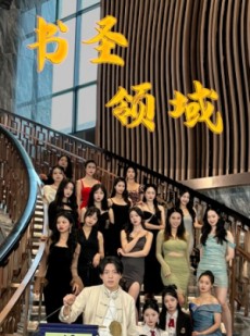 短剧《书圣领域》95集短剧超清画质手机在线观看