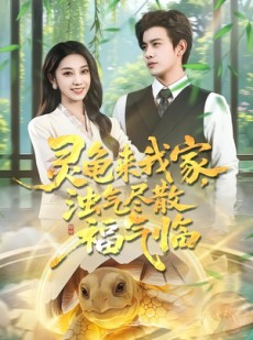 短剧《灵龟来我家，浊气尽散福气临》78集短剧在线观看完整版剧
