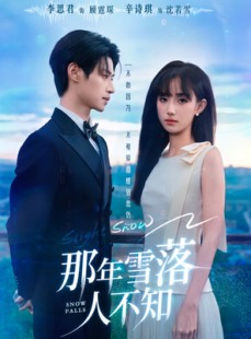短剧《那年雪落人不知》40集短剧1080P高清全集免费追