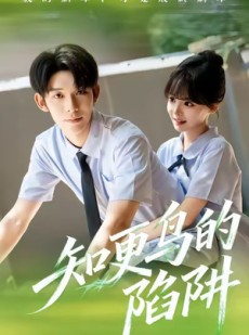 短剧《知更鸟的陷阱》58集短剧超清画质免费观看