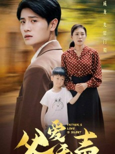 短剧《父爱无声》88集短剧全集高清流畅版免费观看