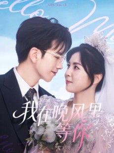 短剧《我在晚风里等你》65集短剧1080P超清画质畅看