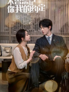 短剧《不曾忘记你我的约定》51集短剧超清画质极速在线观看