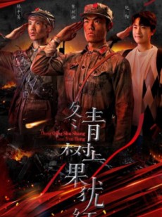 短剧《冬青树上果犹红》9集短剧全集解锁无广告流畅播放