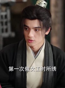 短剧《桃花马上请长缨》91集短剧高清流畅在线免费看