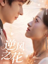 短剧《逆风之花》60集短剧在线免费看完整版