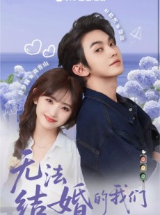 短剧《无法结婚的我们》22集短剧高清流畅在线免费看