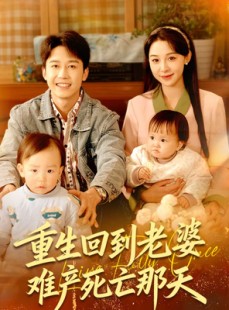 短剧《重生回到老婆难产死亡那天》79集短剧无删减全集在线观看