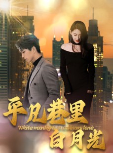 短剧《平凡巷里白月光》33集短剧全集高清无删减在线观看