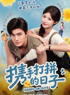 短剧《携手打拼的日子》40集短剧在线观看全集不卡顿