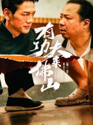 短剧《有功夫来佛山》12集短剧高清在线免费看全剧