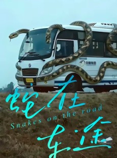 短剧《蛇在车途》34集短剧在线观看全集不卡顿